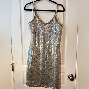 Expressions Silver Silk and Metallic Party Dress size 10